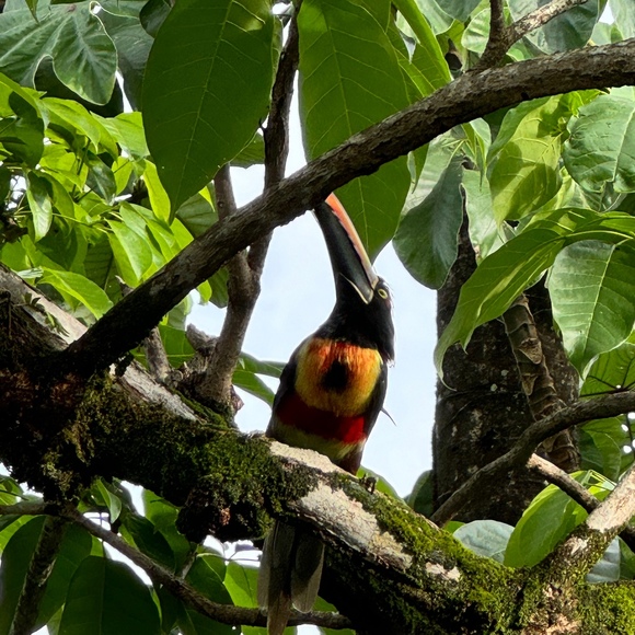 Meet your Posher, Carrolline - Picture 1 of 1